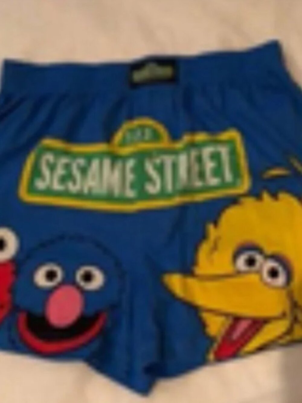 Boxer shorts Sesame Street Workshop mens new size S (28-30") cotton